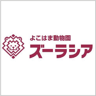 yutaiRecommendCard-alt-group1-2_yokohamaZoorasia