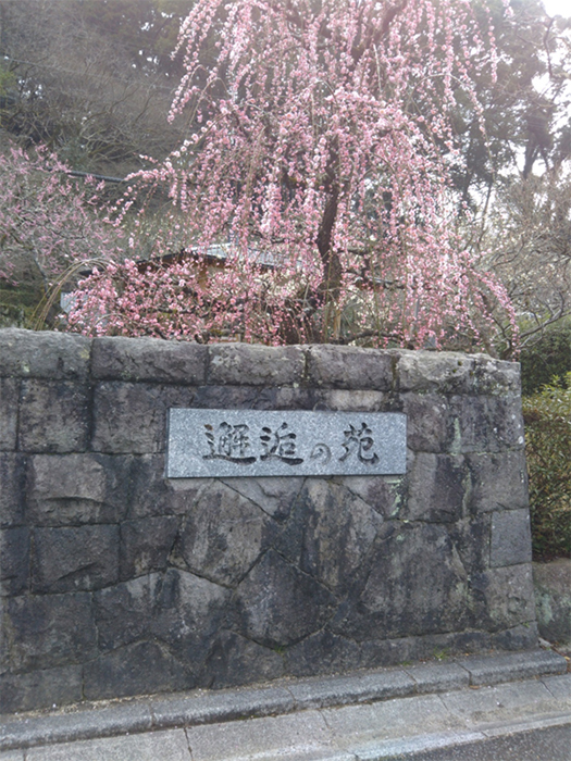 CaNoW_015_初めて撮影した写真