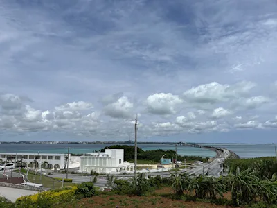 DPS/MBL/ITS/SeMI Joint Workshop@ Miyakojima