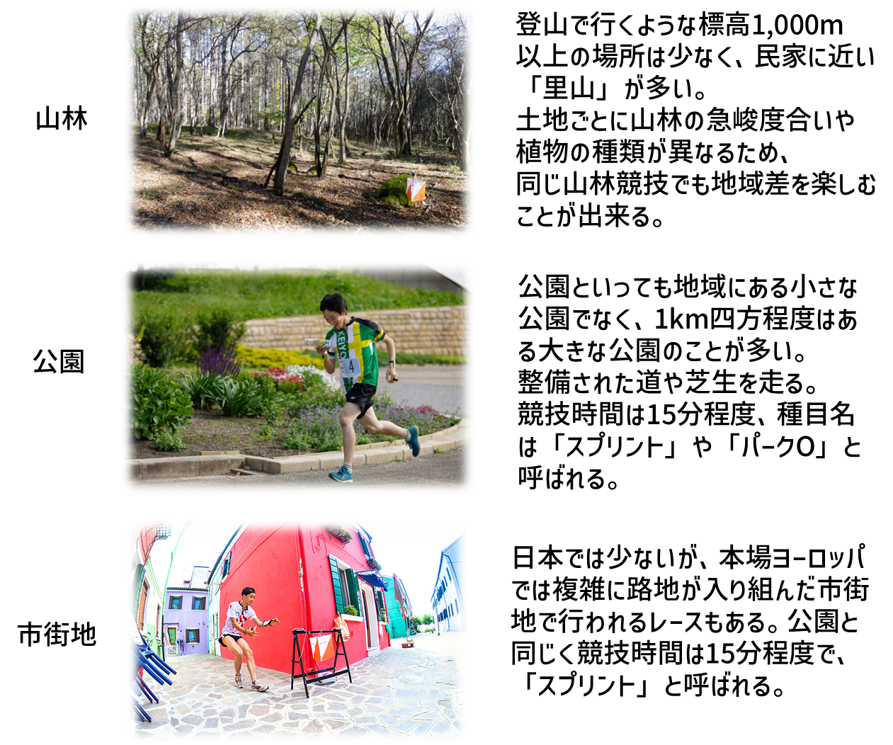 オリエンテーリングが行われる場所