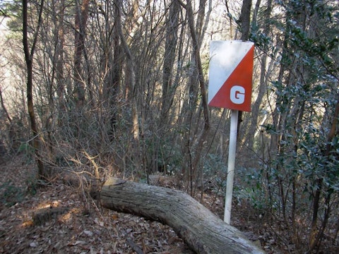 パーマネントコースコントロール