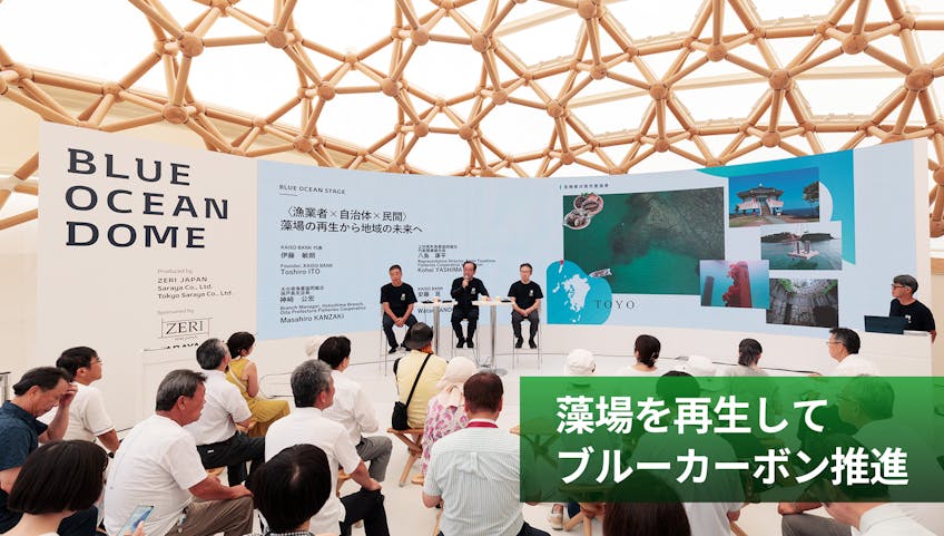 藻場を再生してブルーカーボン推進 全国5カ所の実証実験を通じてビジネスモデル構築へ