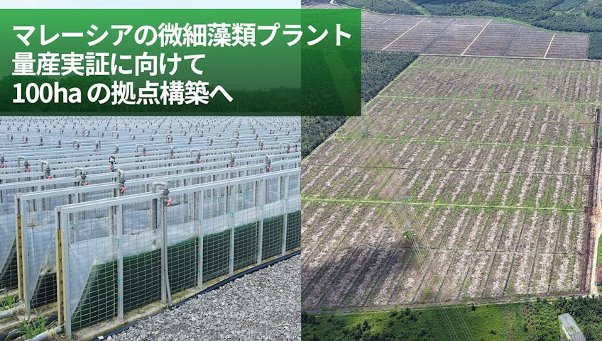 マレーシアの微細藻類プラント 量産実証に向けて100haの拠点構築へ