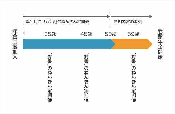 ねんきん定期便の見方