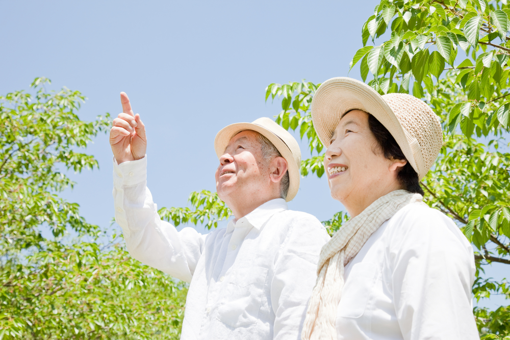 介護の経済負担はどれくらい？