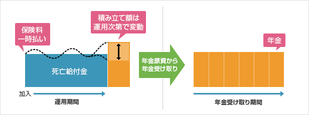 変額個人年金保険とは？その特徴と選び方