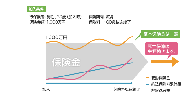 変額終身保険とは