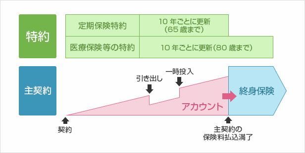 アカウント型保険4つの注意点！