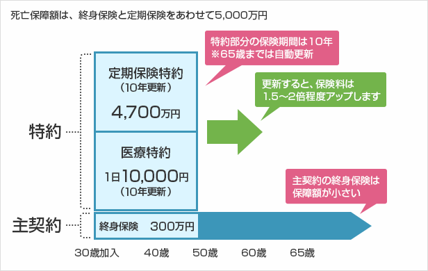 定期付終身保険の見直しポイント