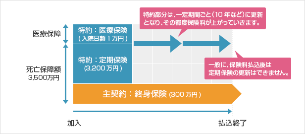 【徹底解説】定期付終身保険とは