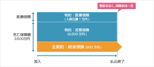 全期型(有期払いタイプ)