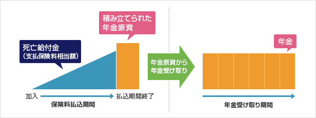 定額個人年金保険とは？その特徴と選び方
