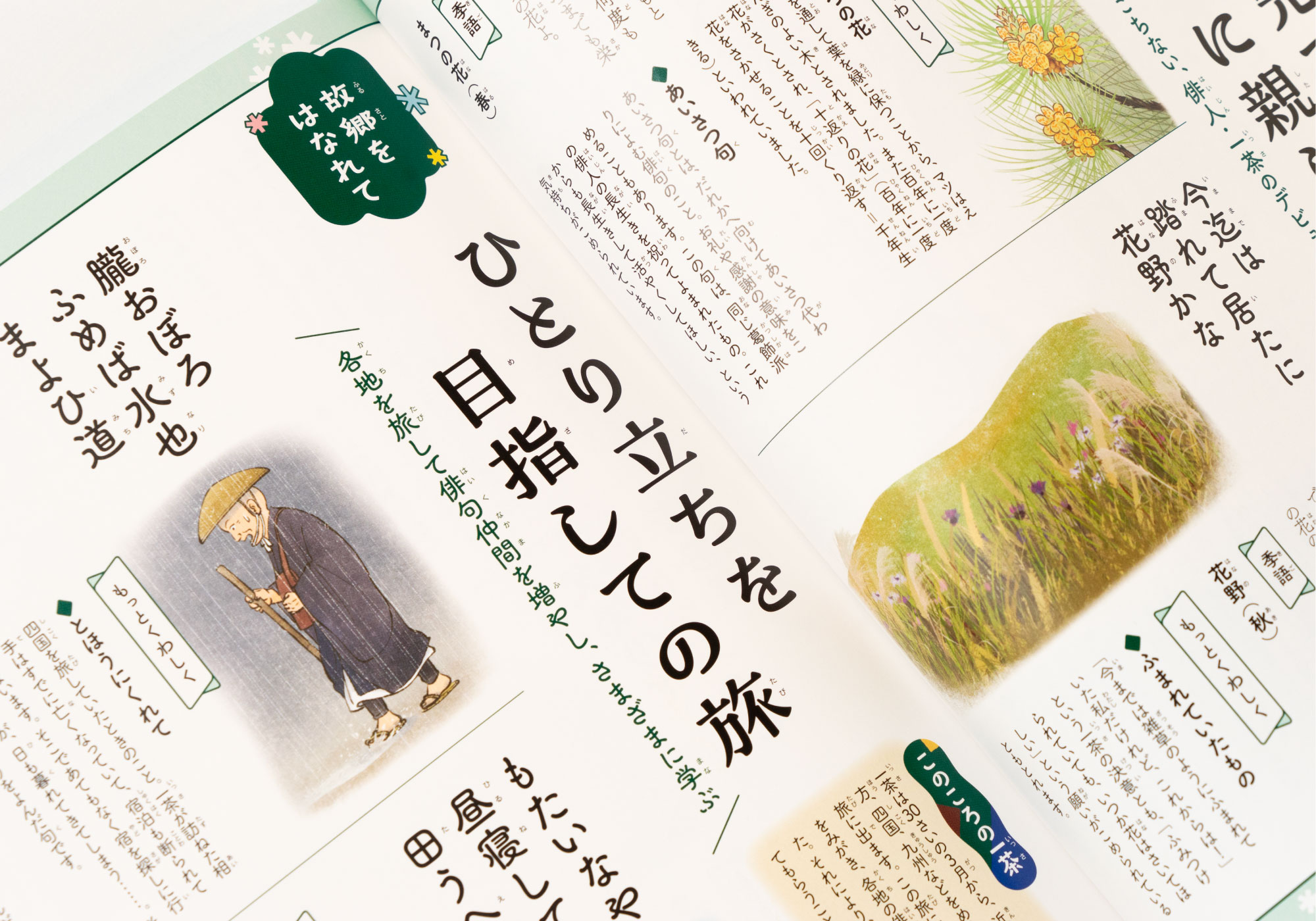 ビジュアルでつかむ！ 俳句の達人たち 小林一茶 | デザイン事務所アトズ