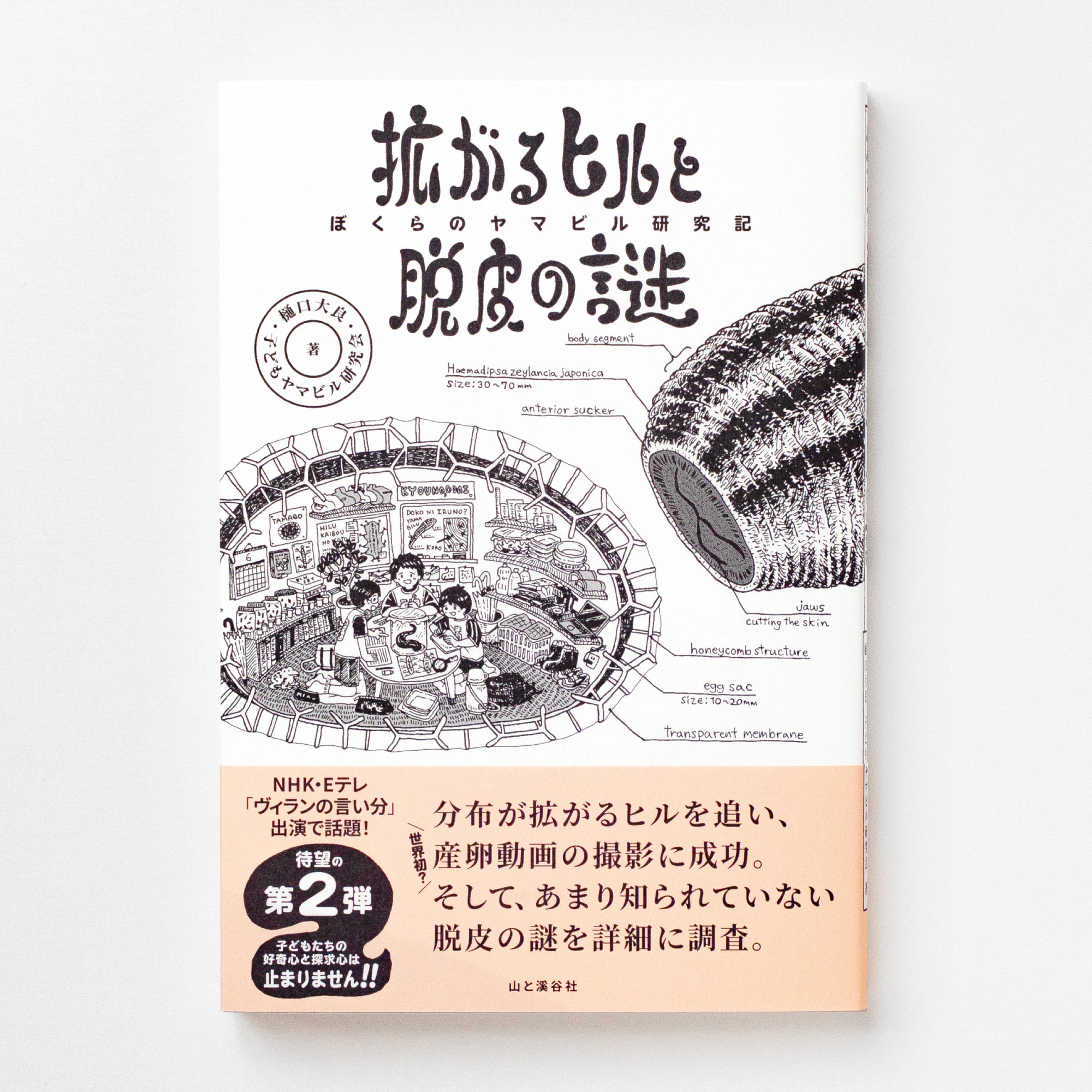 拡がるヒルと脱皮の謎 ぼくらのヤマビル研究記