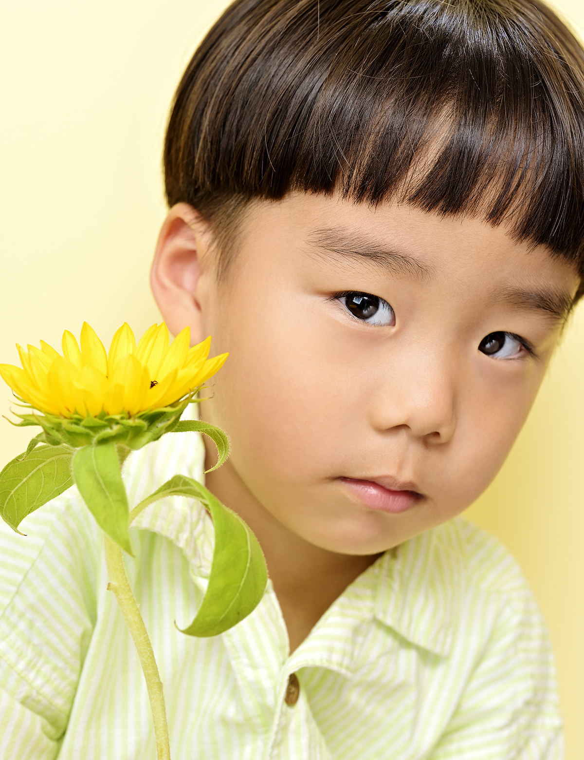 一輪の花と男の子のポートレート