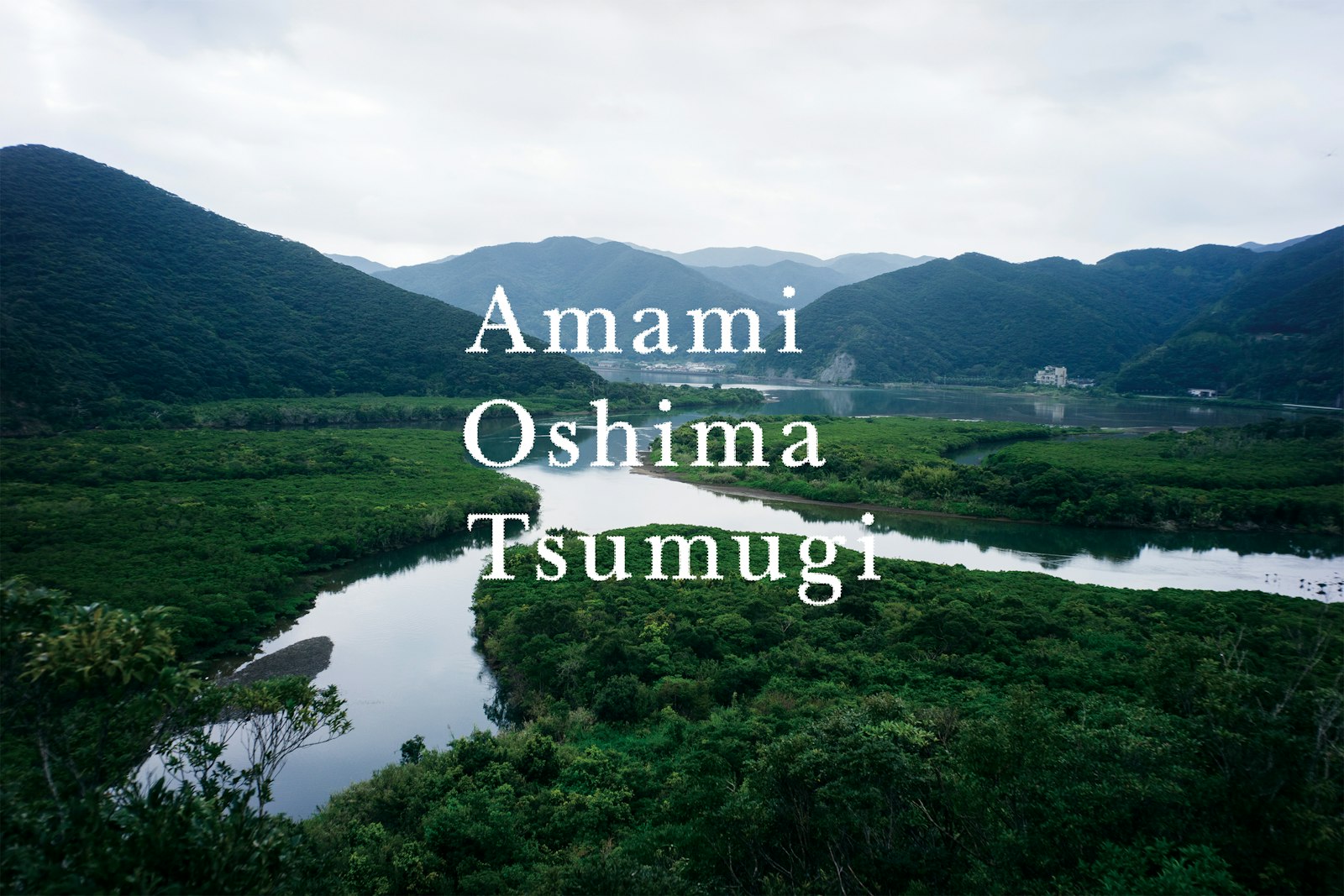 Amami Oshima Tsumugi  − An Authentic and Unique Silk Pongee −