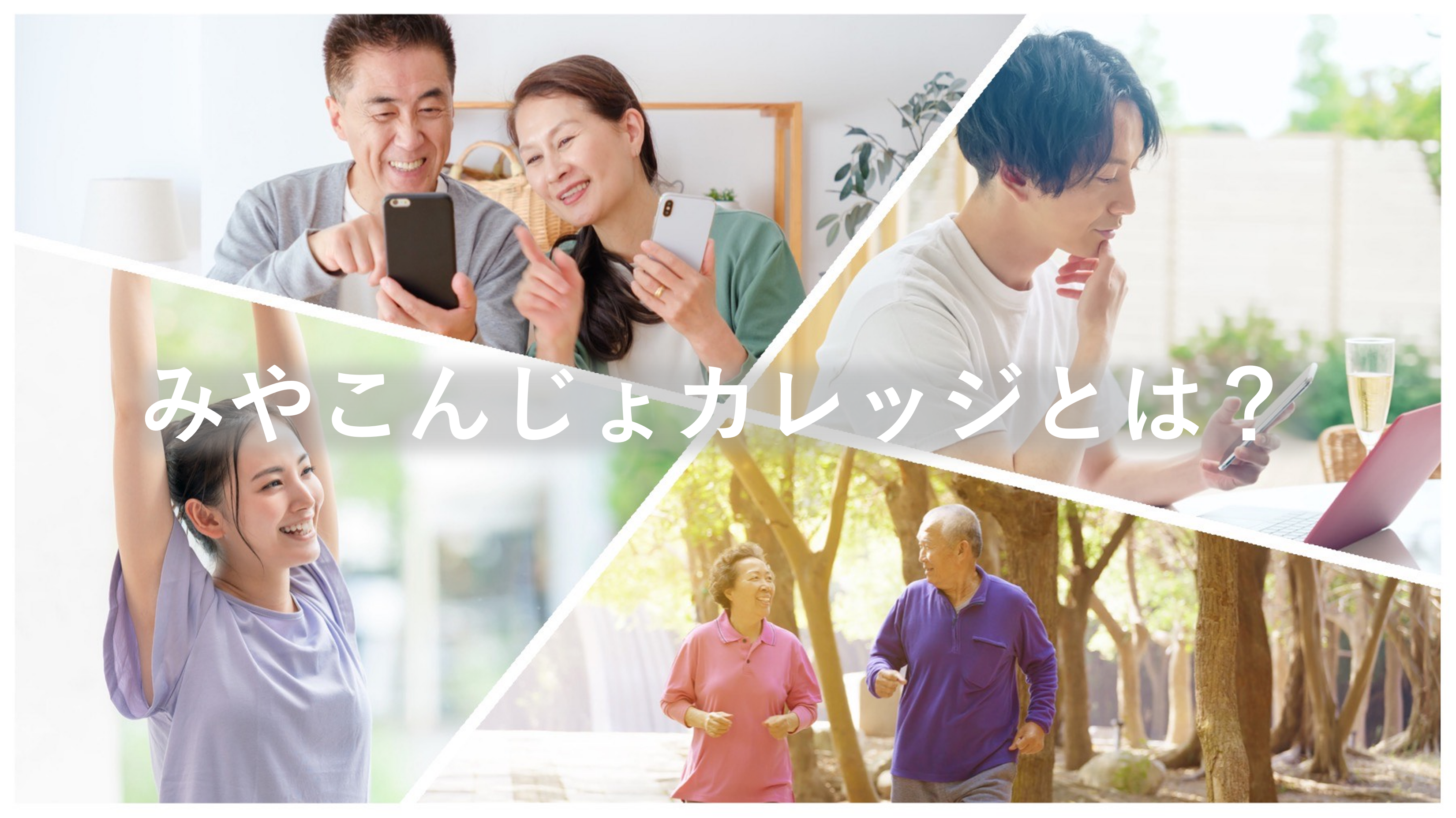 miya様確認用 専用 出鱈目