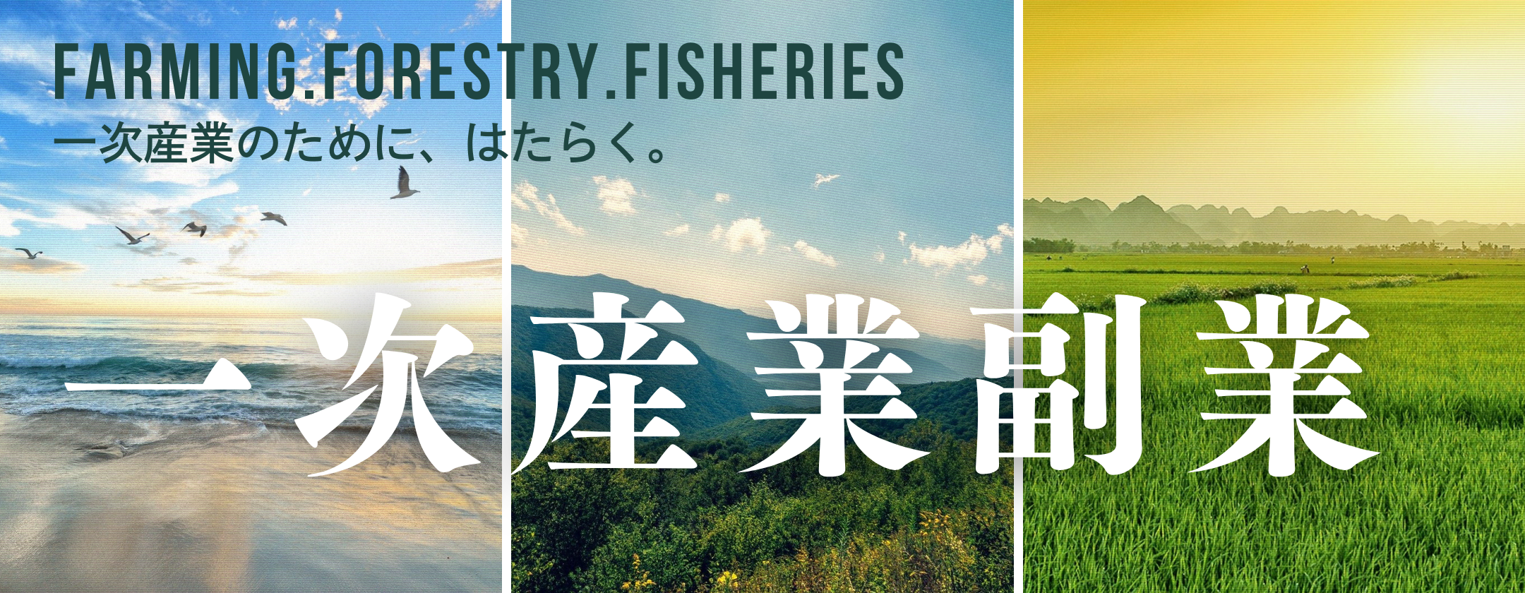 一次産業特集