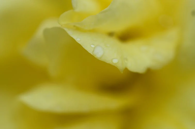 DZU STUDIO「写真教室「今日は一日写真三昧」in 久留米 vol.1」 ／ 2012 年・講師として指導した授業の作品