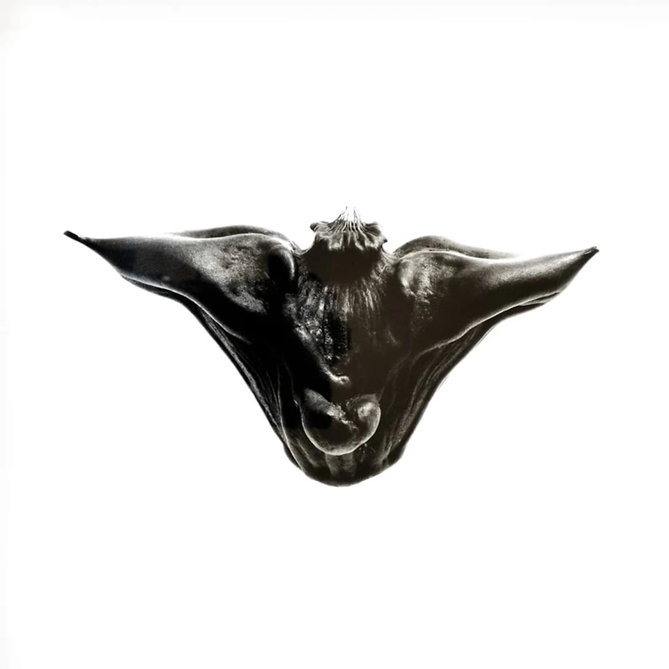 DZU STUDIO「Hishi」 ／ 2006 年・自主制作の作品