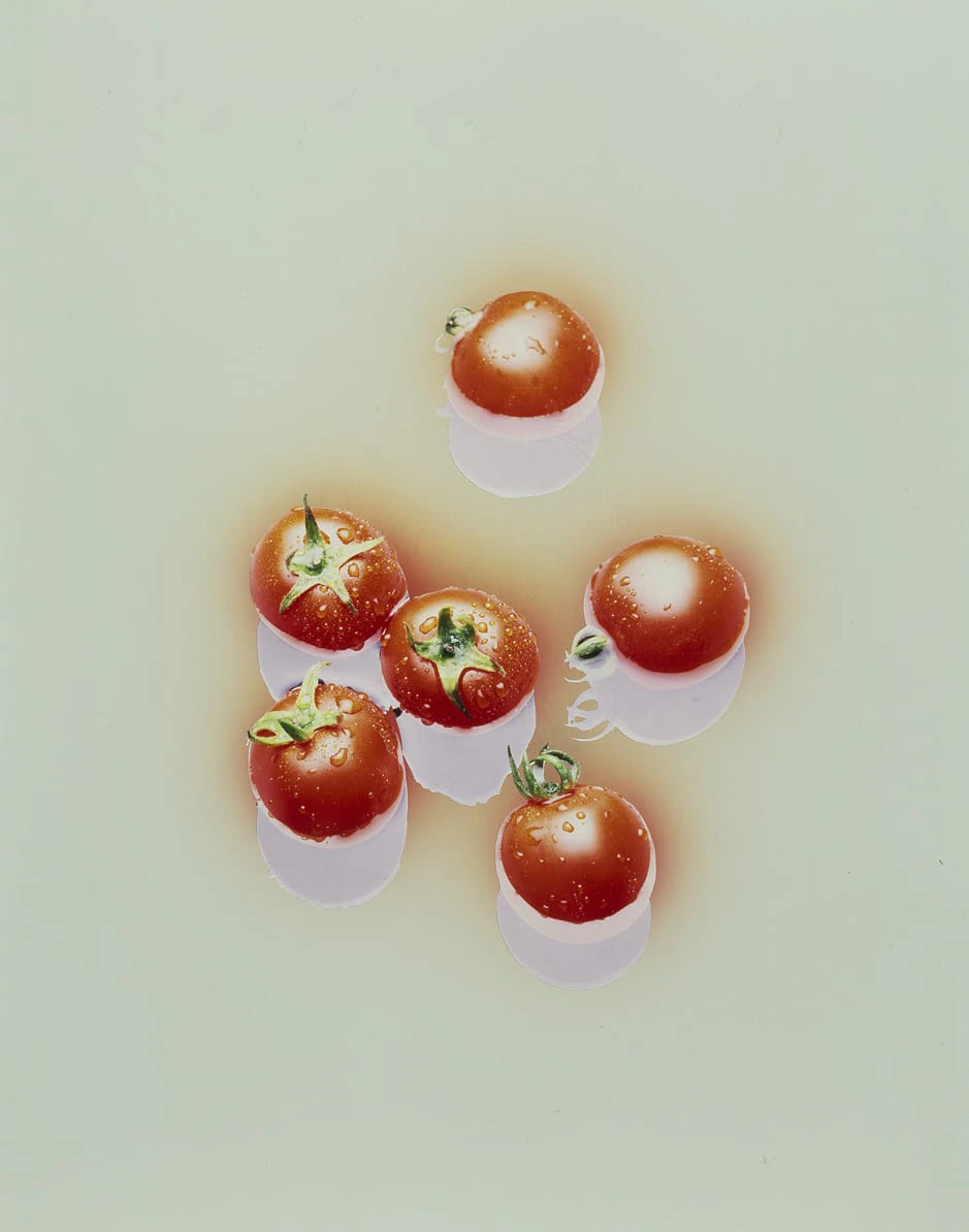 DZU STUDIO「Advertising」 ／ 1979– 年・広告撮影