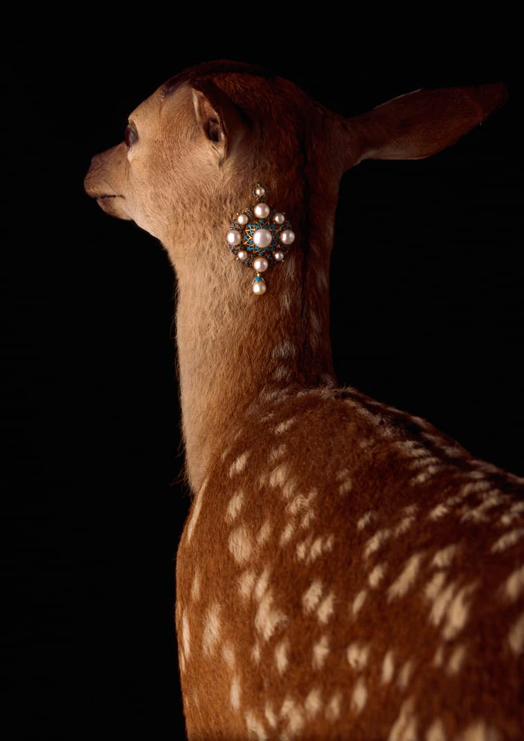 DZU STUDIO「Jewelry」 ／ 2003 年・ジュエリー撮影