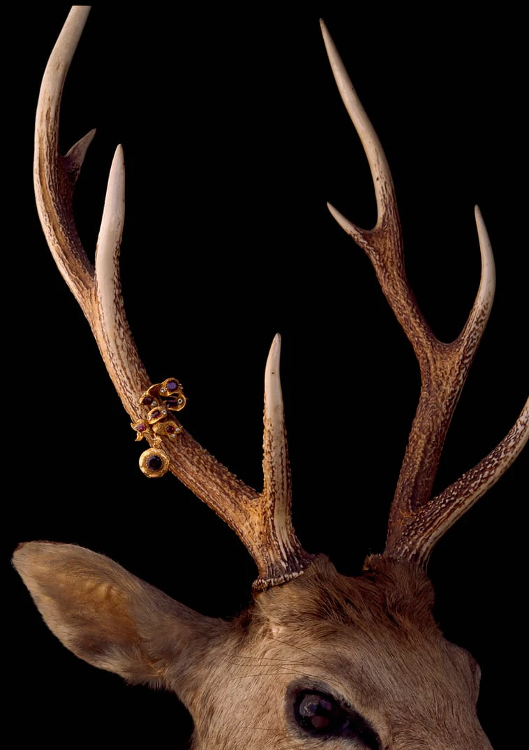 DZU STUDIO「Jewelry」 ／ 2003 年・ジュエリー撮影