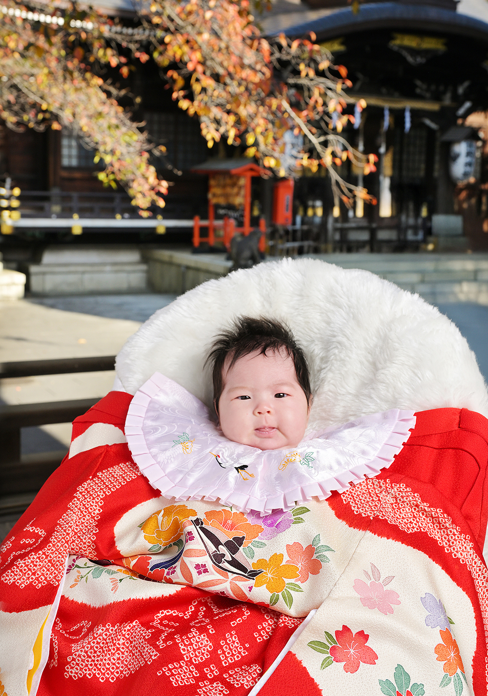 新宿十二社熊野神社でのお宮参り赤ちゃん