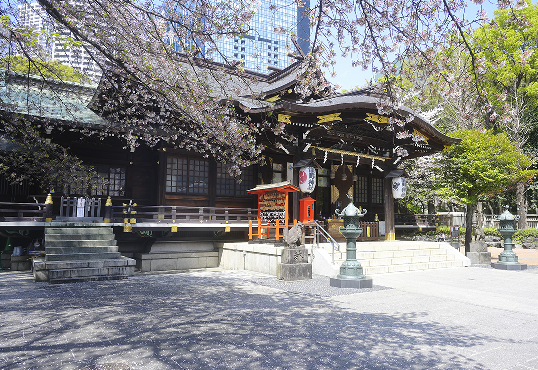 新宿十二社熊野神社の桜の風景