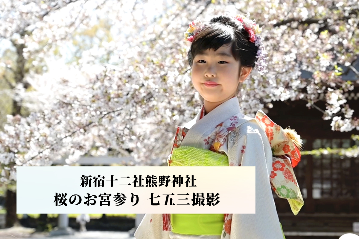 新宿・初台で撮れる新宿十二社熊野神社の桜の七五三 
