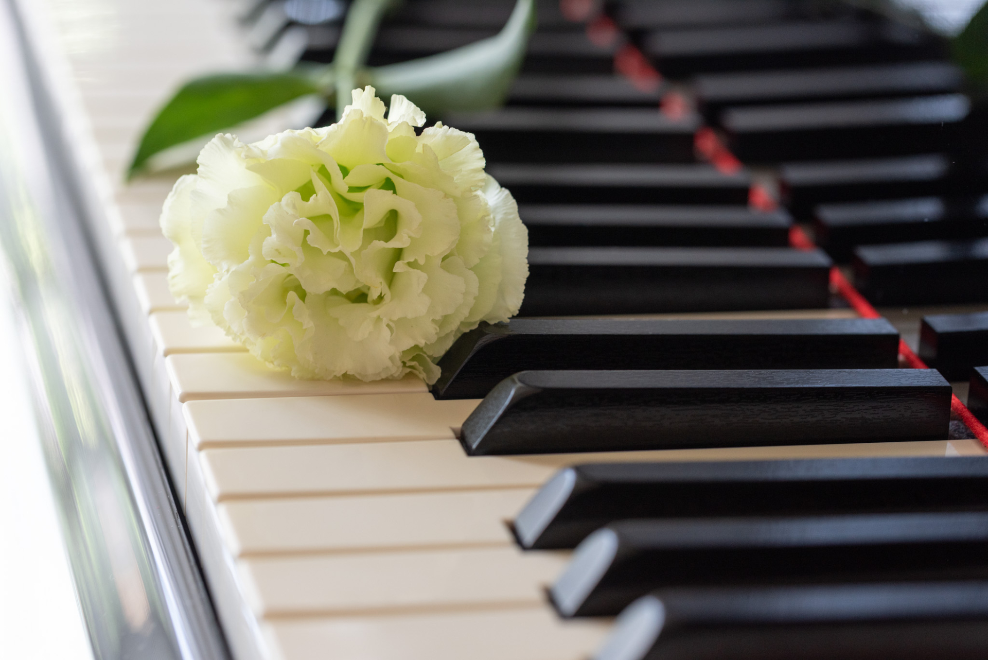 ピアノ教室のはじめ方｜失敗しない開業準備と生徒が集まるコツ