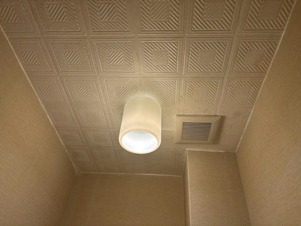 トイレ天井に発生したカビの除去と防カビ｜施工後