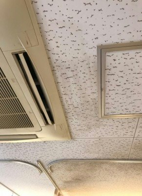 病室のエアコンクリーニングとカビ対策は一緒に！｜施工前