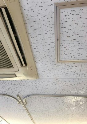 病室のエアコンクリーニングとカビ対策は一緒に！｜施工後