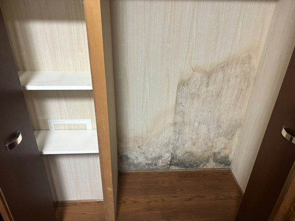 クローゼットのカビを除去し、壁紙を張替えて清潔に|施工前