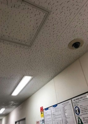 施工後の状態
