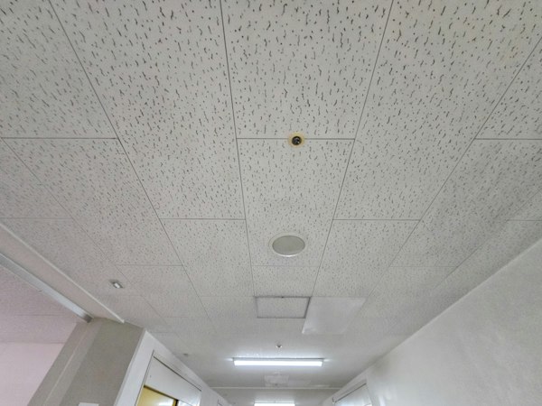 病室まで広がる危険性も。病院廊下のカビを早期対応で解決｜施工後