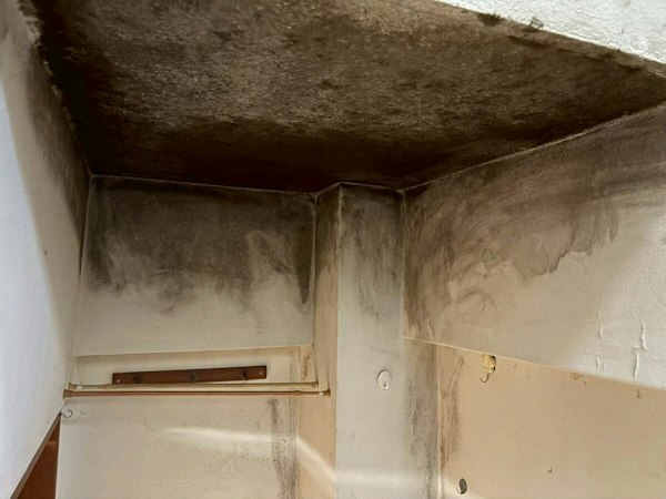 天井のカビは早めの対処と予防を！｜施工前