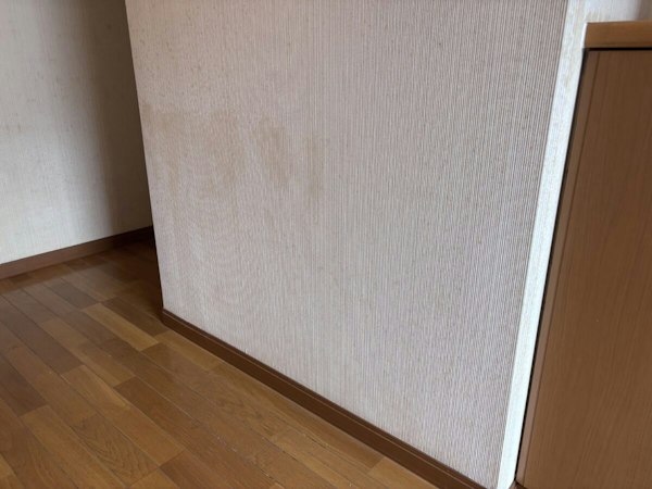 玄関のカビ対策|施工前
