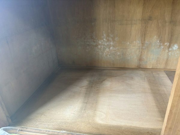 木材の押入収納カビ対策の施工前の状態