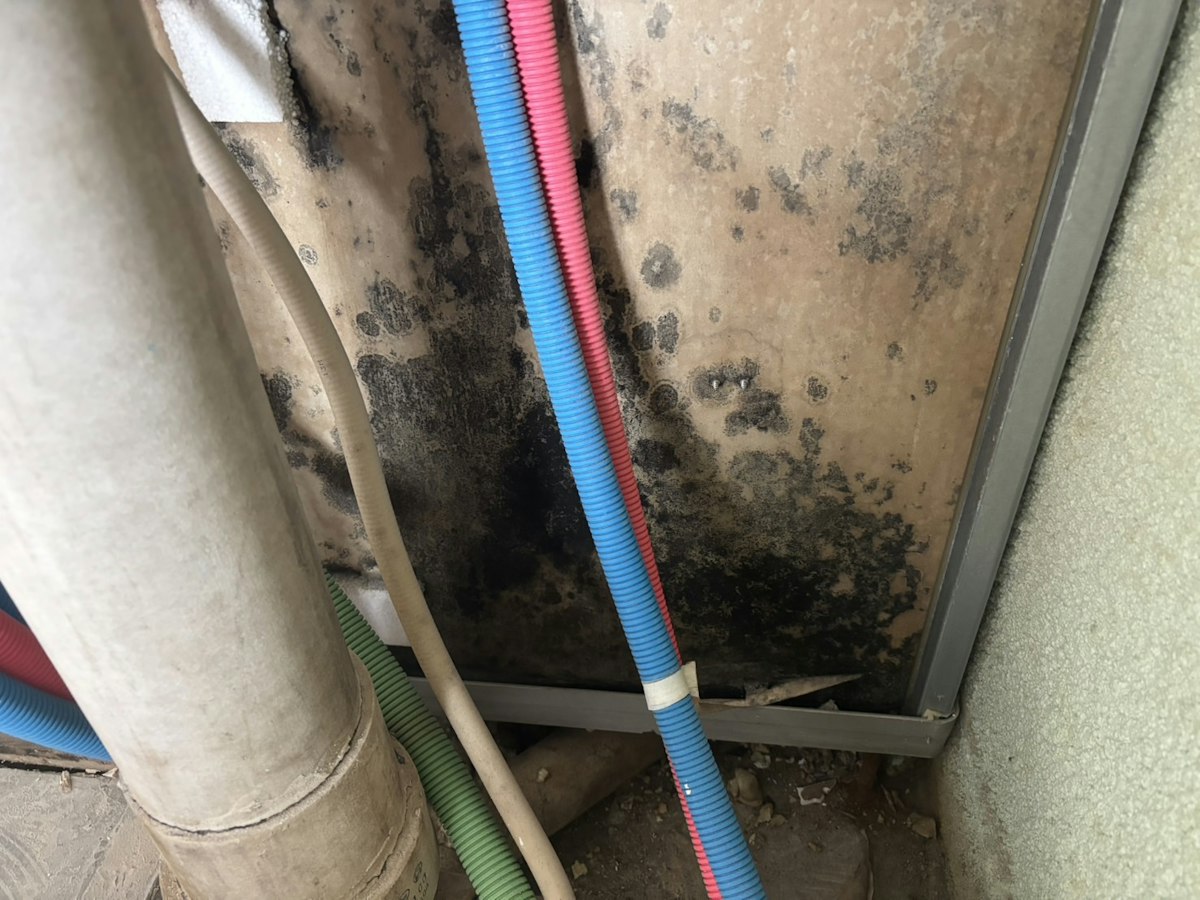 施工前の状態