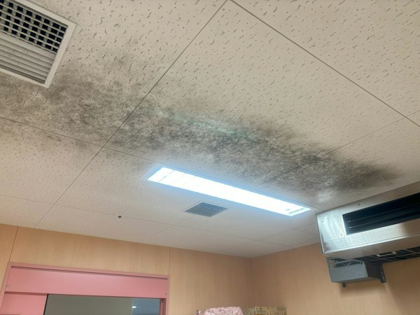 病院や施設の天井に生えるカビを徹底対策｜施工前