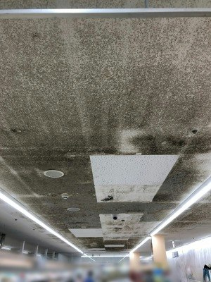 施工前の状態