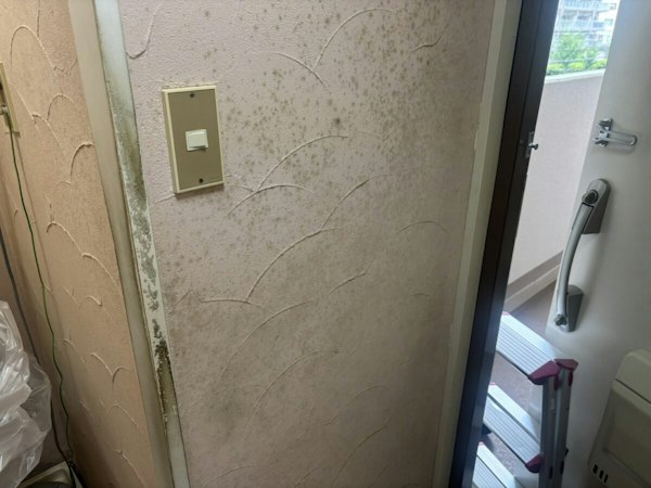 珪藻土のカビ対策の施工前の状態