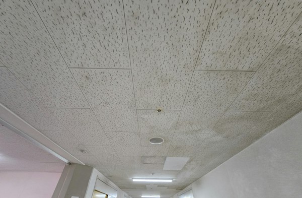 病室まで広がる危険性も。病院廊下のカビを早期対応で解決|施工前