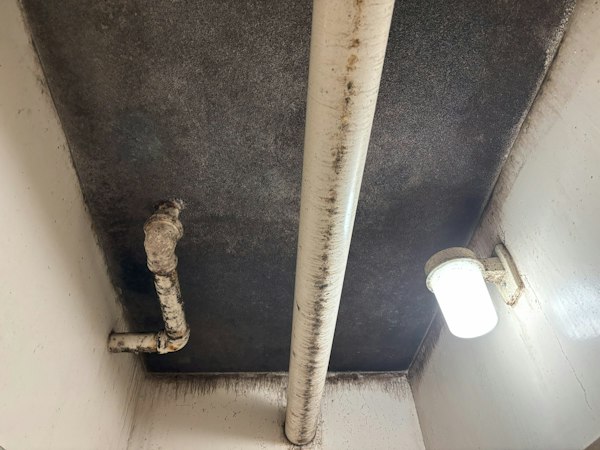 お風呂の天井に発生したカビの除去と防カビ|施工前