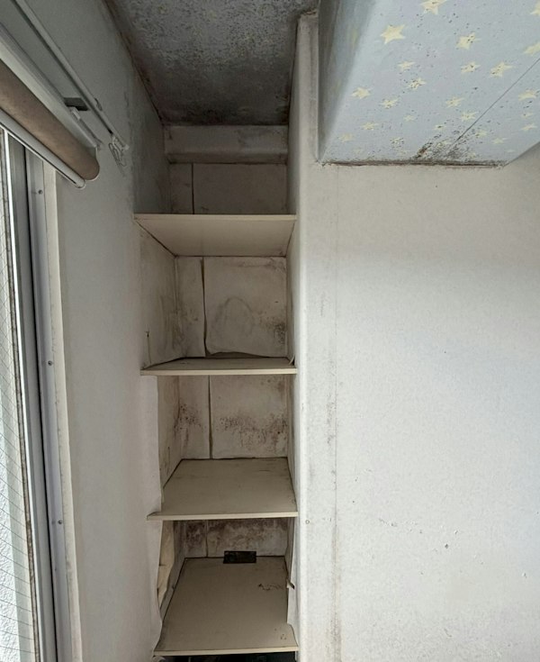 マンション住宅の洋室。結露で繰り返すカビを一掃！｜施工前