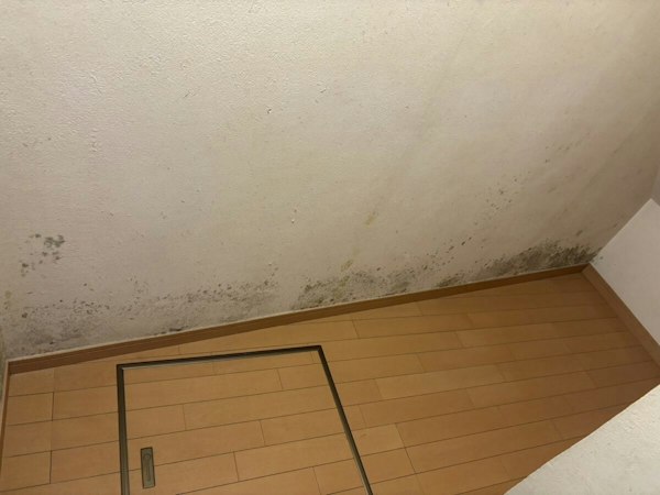 地下にある洋室のカビ対策の施工前の状態