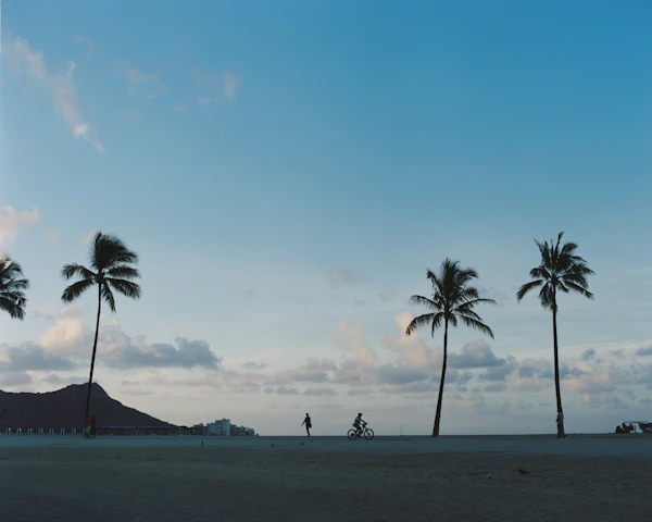 Hawai - photo 6