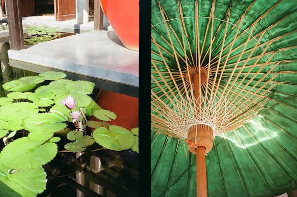 Thailand - photo 12